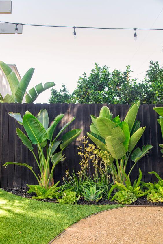 30 tropical backyard ideas that you’ll like